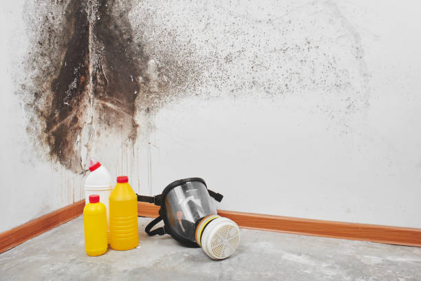 Best Water Damage Restoration  in Osage City, KS