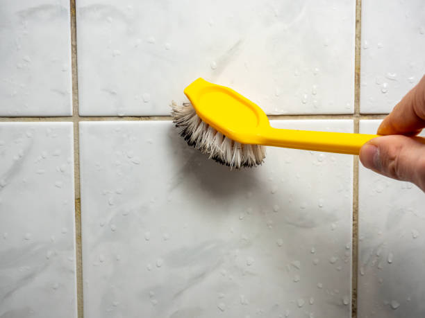 Best Office Mold Removal Services  in Osage City, KS