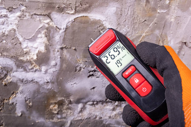 Best Mold Remediation  in Osage City, KS