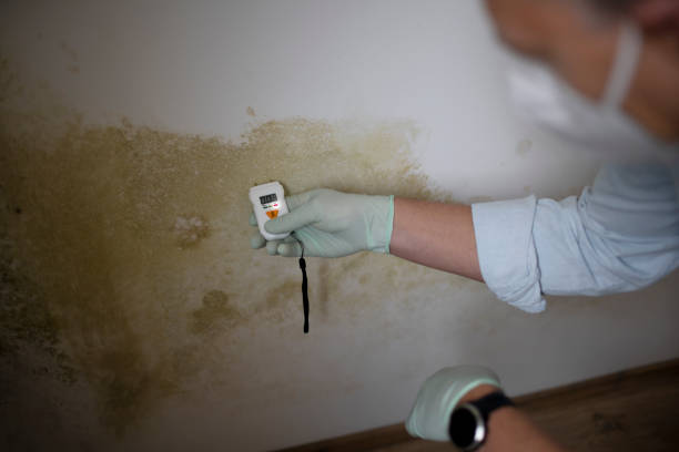 Best Mold Testing  in Osage City, KS