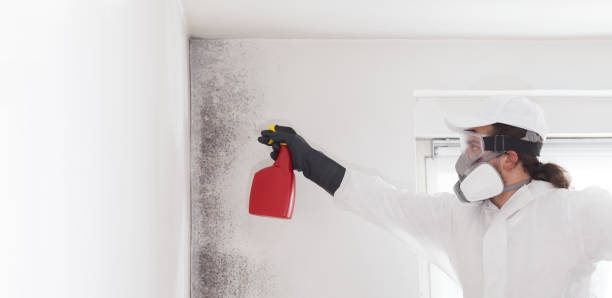 Best Professional Mold Removal  in Osage City, KS