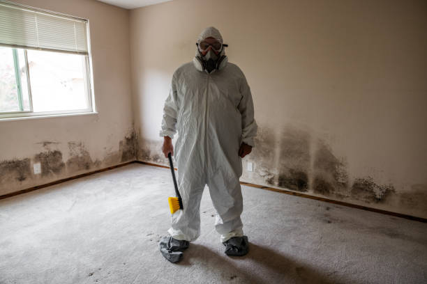 Best Toxic Mold Removal  in Osage City, KS
